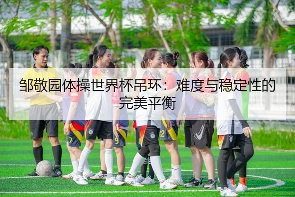邹敬园体操世界杯吊环：难度与稳定性的完美平衡